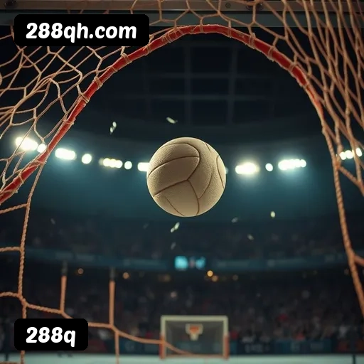 Imagem secundária de apoio para instalação do app 288q